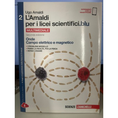 L'Amaldi per i licei scientifici.blu. Per le Scuole superiori. Con e-book. Con espansione online. Onde, campo elettrico e magnetico (Vol. 2)